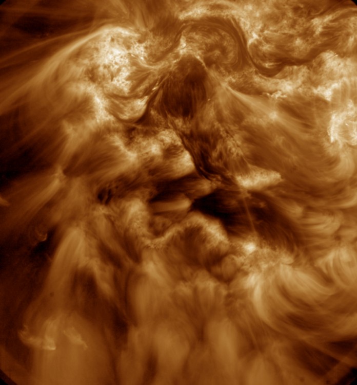 solar moss1