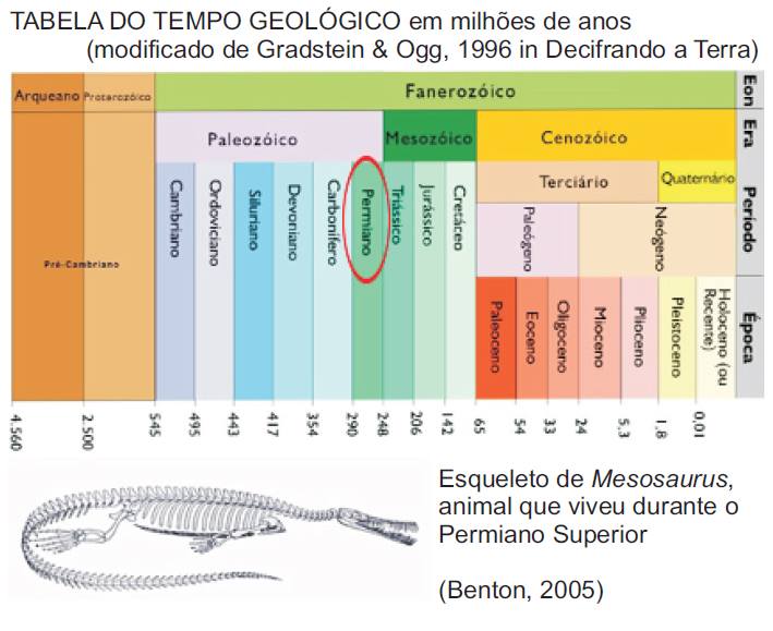 Planilha De Indice De Fosseis