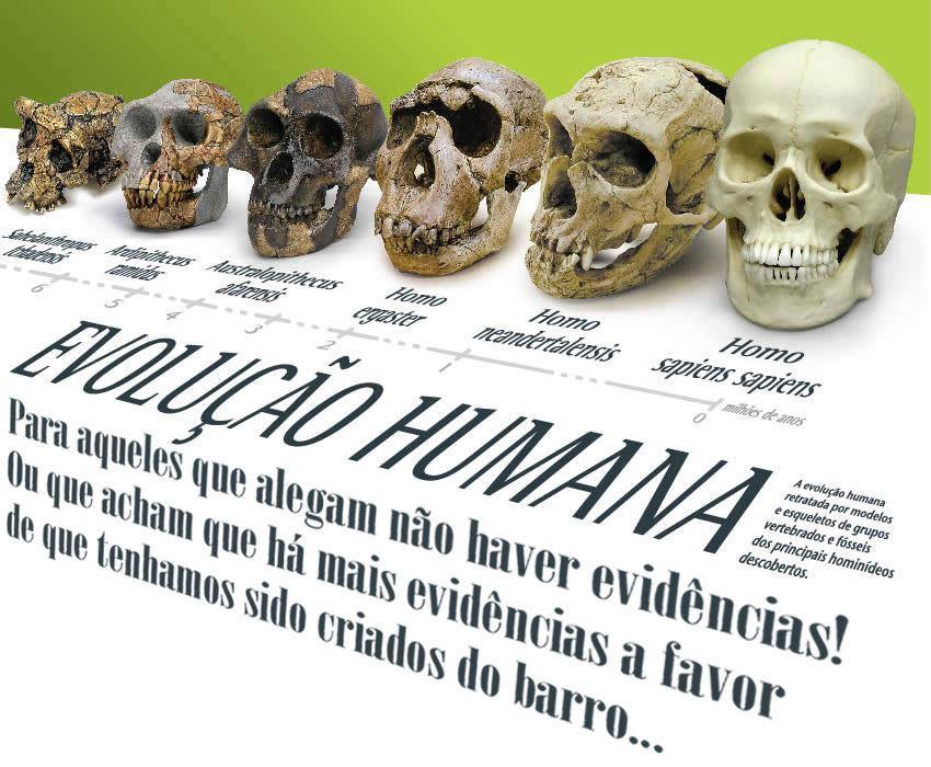 Exemplo do Jogo de perguntas e respostas sobre Evolução de Vertebrados