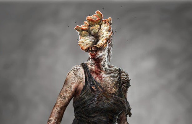 Fungo “zumbi” Cordyceps de The Last of Us pode infectar humanos