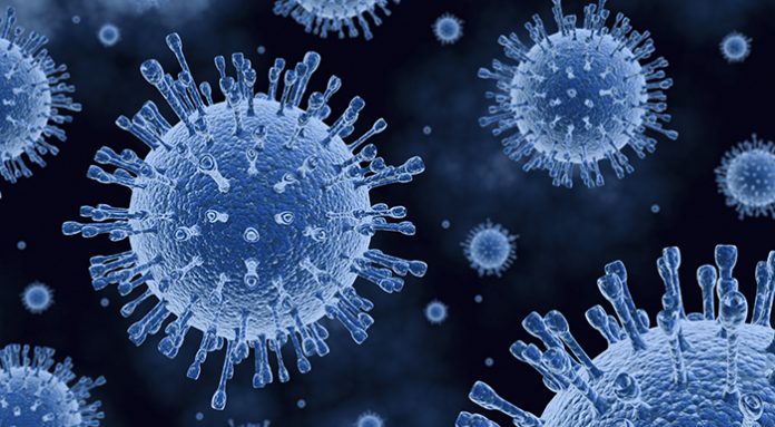 Viruses