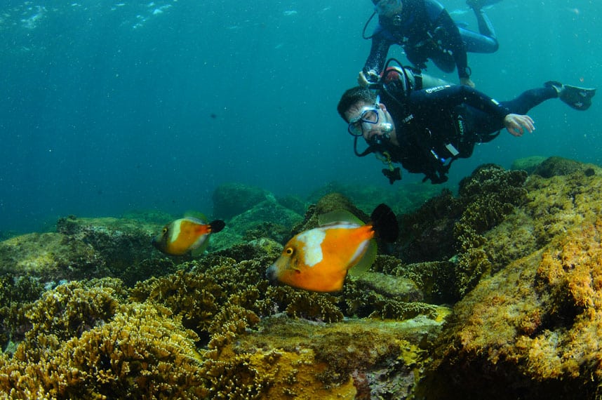 Universo Racionalista mergulha nas águas de Arraial do Cabo e conhece de perto a biodiversidade