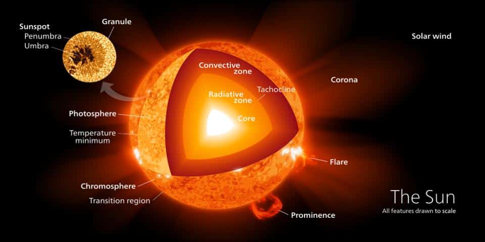 Esta divisão mostra as várias regiões da superfície e do interior do Sol, incluindo o núcleo, onde ocorre a fusão nuclear. O processo de fusão, em estrelas parecidas com o Sol, bem como seus primos mais massivos, é o que nos permite construir os elementos pesados presentes em todo o Universo hoje. (Crédito: usuário do Wikimedia Commons do Kelvinsong)