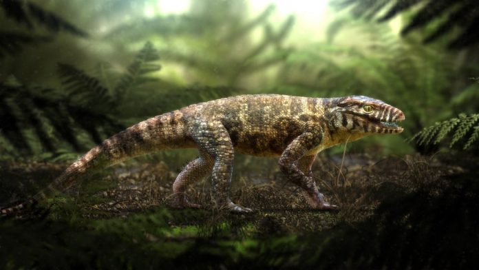 caipirasuchus_rodolfo_nogueira