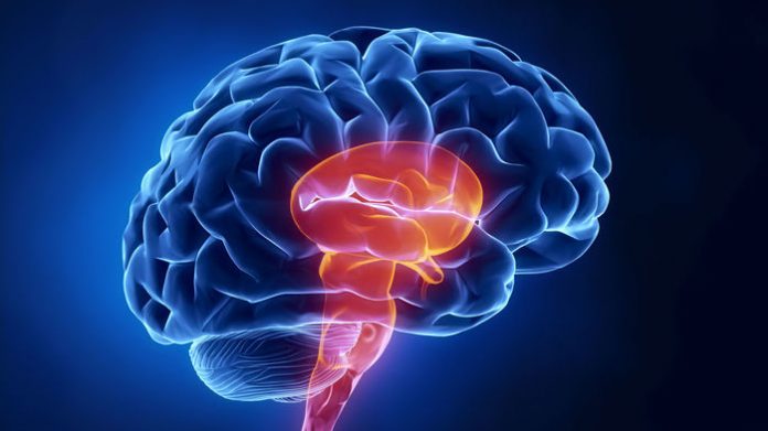 cerebro-futebol