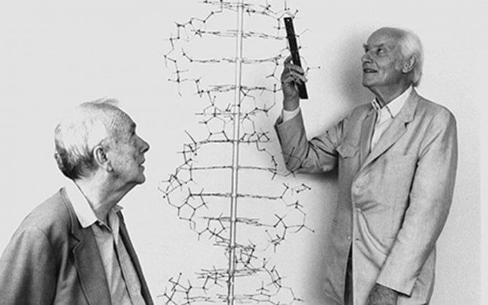 watson and crick