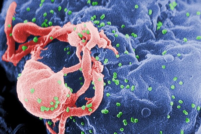 aids-alcanca-jovens
