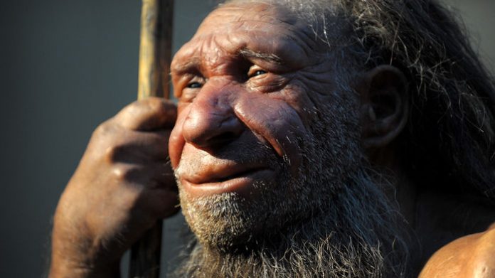 seres-humanos-domesticaram-a-si-mesmos