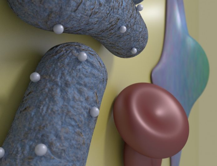 nanoparticula-antibiotico