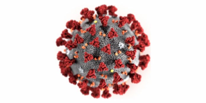 novo-coronavirus-e-o-brasil