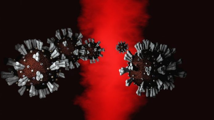coronavirus