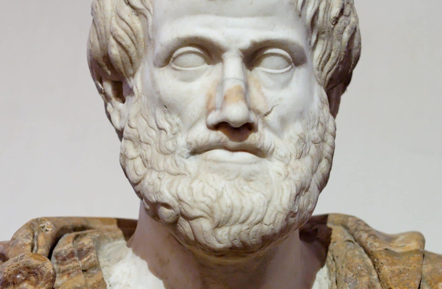 Аристотель из Стагиры