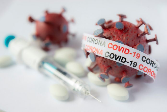 vacina-coronavirus-animais