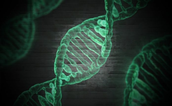 covid-19_genetica_biologia