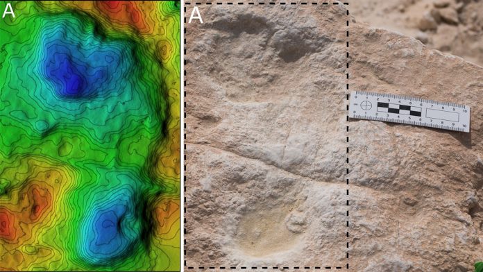 Fig2-Footprints-1280x720