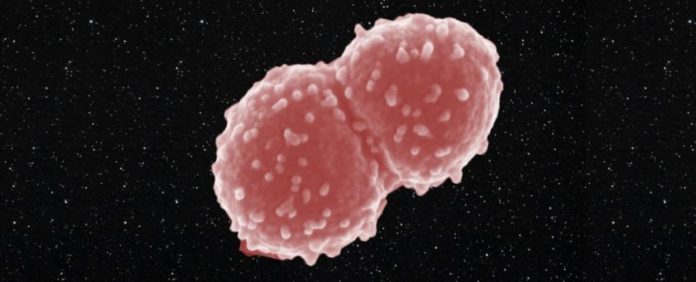 247803_web-bacteria-post-iss-cropped_1024