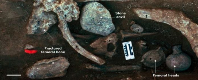 mastodonsite_1024