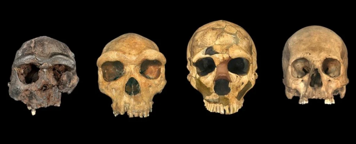 i-want-your-skull_1024