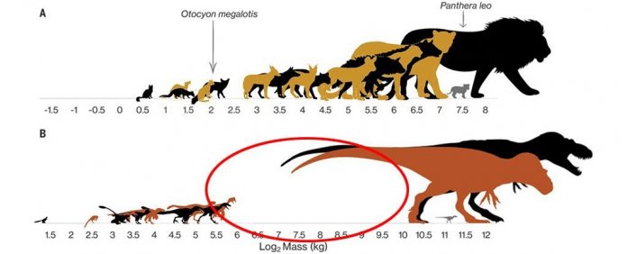 no_middle_dinosaurs_cover_figure_1024