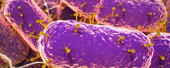 010-bacteriophage-viruses_1024