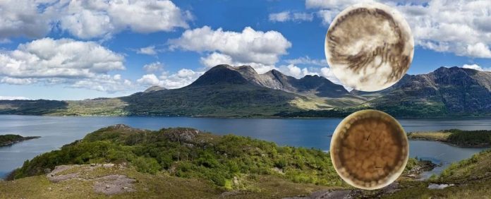 lago-torridon-fosseis