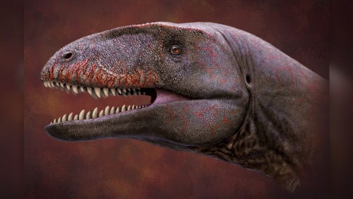dinossauro-dente-de-tubarao-capa