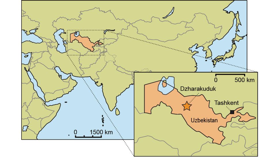 Dinossauro gigante com 'dentes de tubarão' é descoberto no Uzbequistão