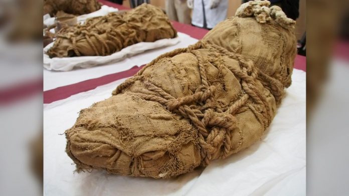 mumias-peru-criancas-sacrificio