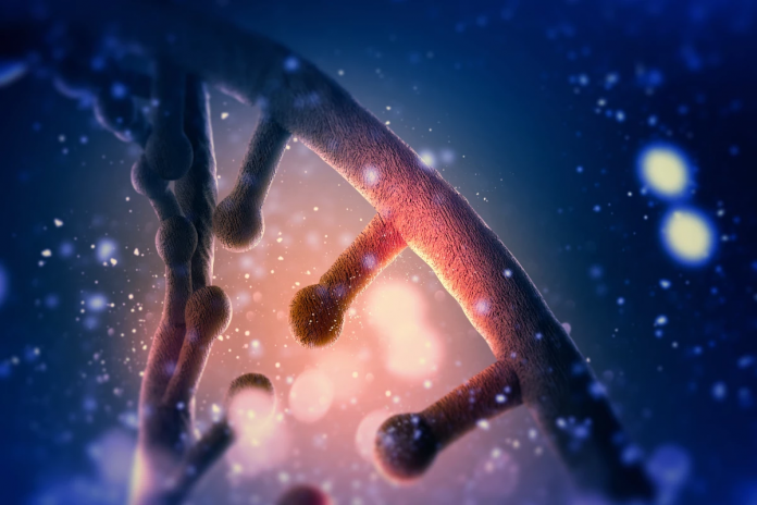 dna-mutacao-quantica