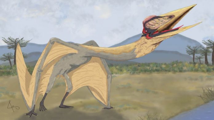 dragao-da-morte-pterossauro-argentino