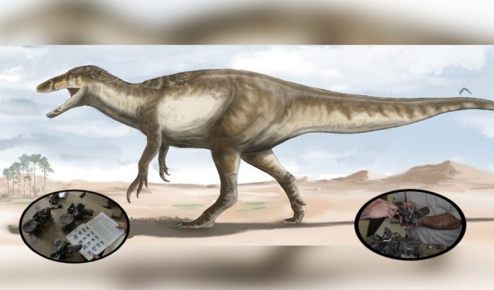 megaraptores-dinossauros-argentina