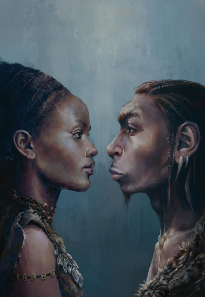 fosseis-humanos-modernos-neandertais