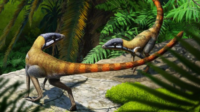 reptil-voador-evolucao-capa