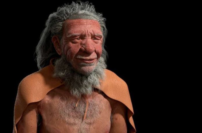 Rendição 3D de um homem neandertal. (Créditos: RaveeCG/Shutterstock)