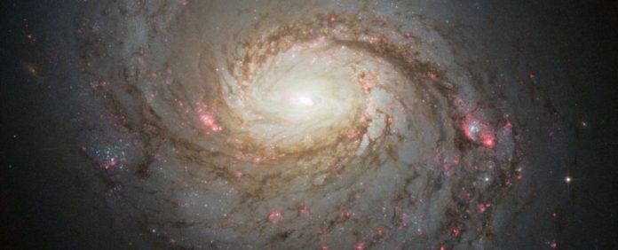 ngc-1068
