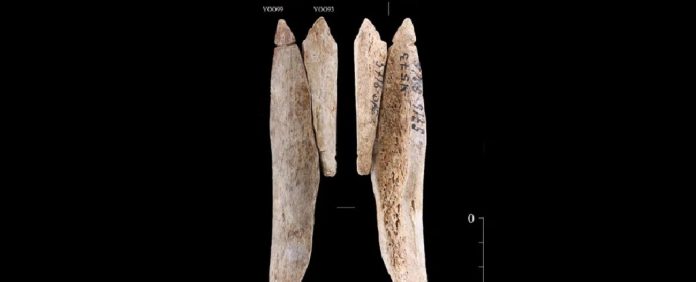 ossos-pingentes-pre-historicos
