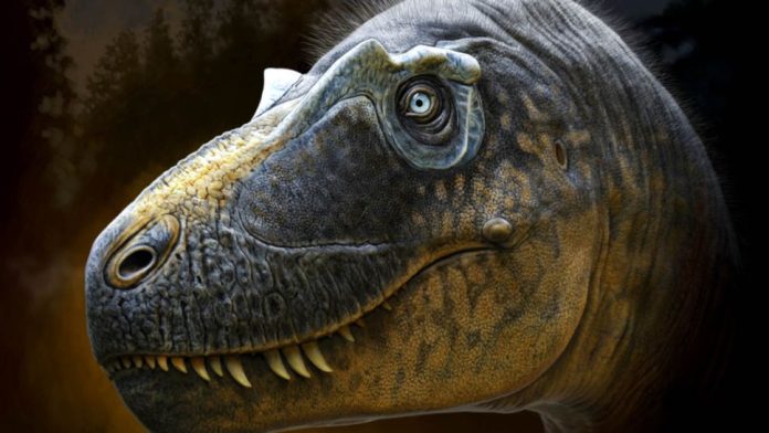 tiranossauros-novas-especies