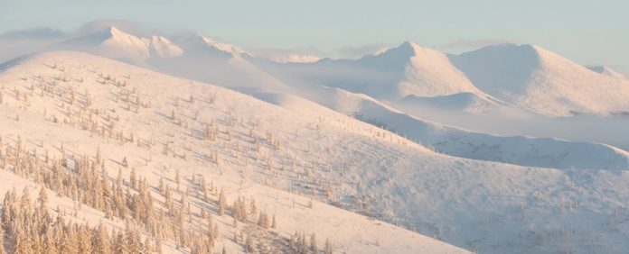 virus-zumbis-pergelissolo-siberia