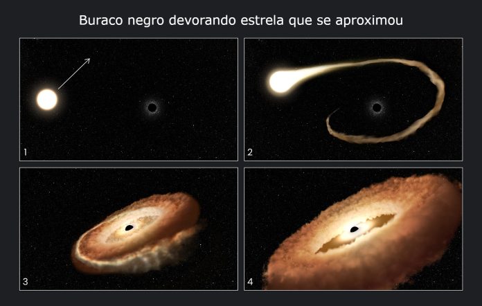 Esta sequência de ilustrações artísticas mostra como um buraco negro pode devorar uma estrela que se aproximou dele. 1. Uma estrela normal passa perto de um buraco negro supermassivo no centro de uma galáxia. 2. Os gases externos da estrela são atraídos para o campo gravitacional do buraco negro. 3. A estrela é despedaçada à medida que as forças das marés a separam. 4. Os remanescentes estelares são puxados para um anel em forma de rosquinha ao redor do buraco negro e eventualmente cairão no buraco negro, liberando uma quantidade enorme de luz e radiação de alta energia. (Créditos: NASA, ESA, Leah Hustak (STScI))