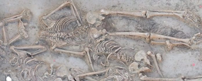 esqueletos-valas-comuns-decapitados-7000-anos