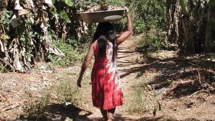 terra-preta-indigena