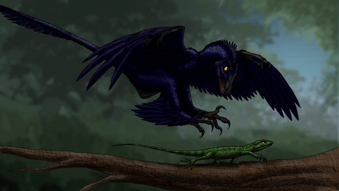 microraptor-dinossauros-voadores