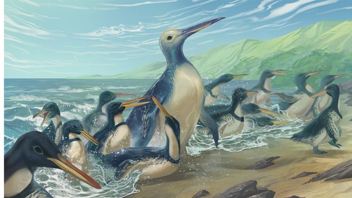 pinguim-animal-pre-historico