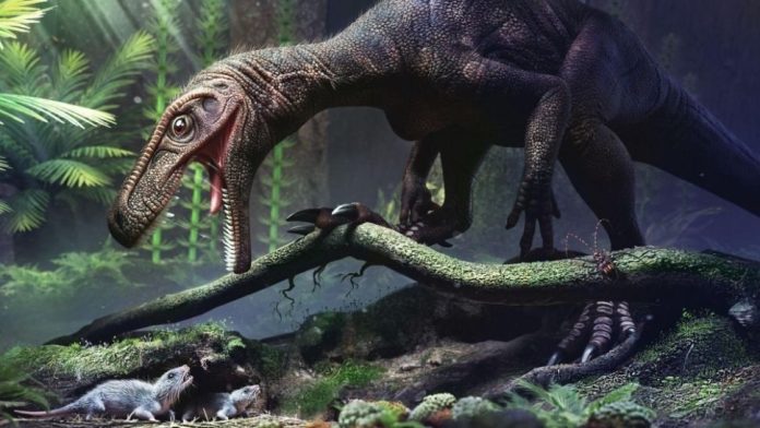 dinossauro-fosseis-ossos-ocos