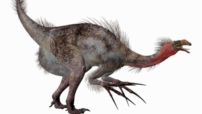 dinossauros-fosseis-jurassic-world