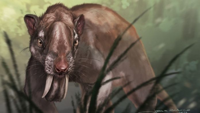 Este antiguo marsupial con dientes de sable tenía ojos como ningún otro mamífero depredador
