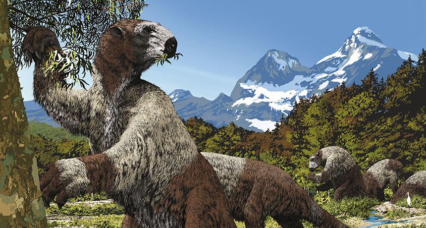 Preguiças-gigantes como a Megatheriumera, herbívoros do tamanho de elefantes que, com garras afiadas e músculos grandes, teriam sido presas formidáveis para os humanos pré-históricos – Jaime Chirinos/Science Source