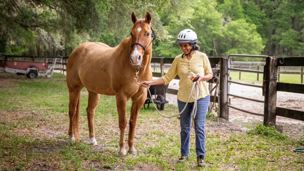 Como entender os sinais e o comportamento dos cavalos