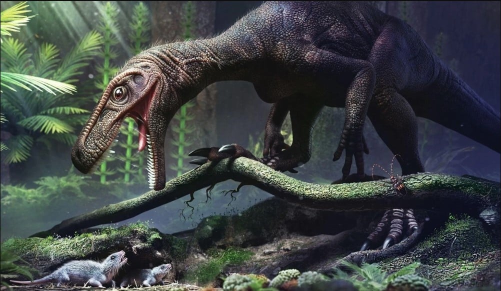 Pesquisa revela que dinossauro T-rex andava, não corria