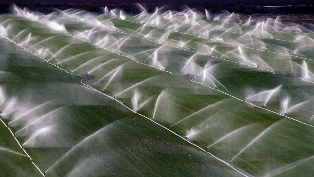 Aspersores irrigam plantações perto de Rio Vista, Califórnia. Irrigação semelhante em todo o mundo extraiu tanta água do solo que a rotação da Terra pode ter mudado. DEPARTAMENTO DE RECURSOS HÍDRICOS DA CALIFÓRNIA